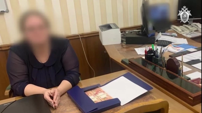 В Пензенской области чиновница пыталась дать вице-губернатору взятку в 3 млн рублей