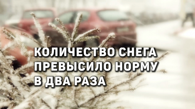 В январе количество снега в Петербурге превысило норму почти в два раза