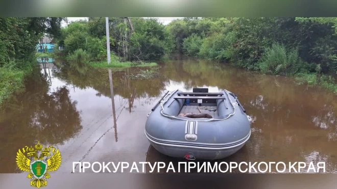 В Дальнереченске подтопило восемь домов после прорыва насыпи дамбы