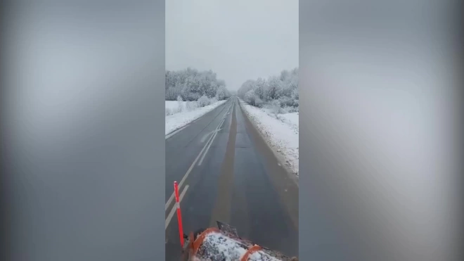 В Ленобласти из-за снега за двое суток упало 625 деревьев