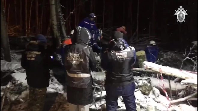 Найдены останки всех девяти погибших на месте крушения Ан-12 под Иркутском