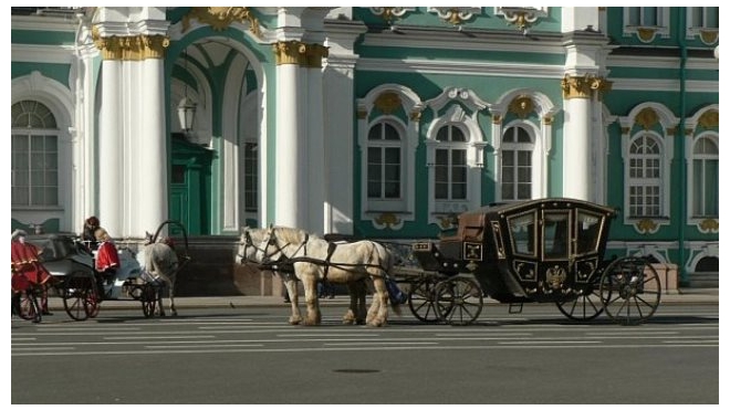 На Дворцовой набережной петербуржца сбила лошадь 