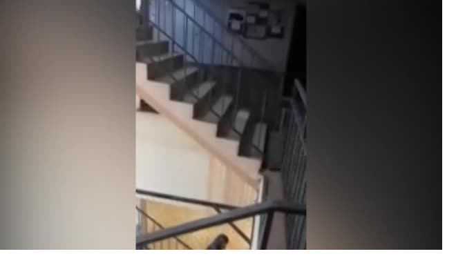 В колледже в Красном Селе обвалился потолок после подачи отопления