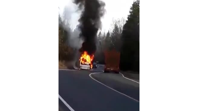 На трассе Светогорск — Петербург автобус загорелся на ходу