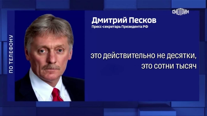 Песков: Кишинев не предоставил права голоса сотням тысяч молдаван в РФ