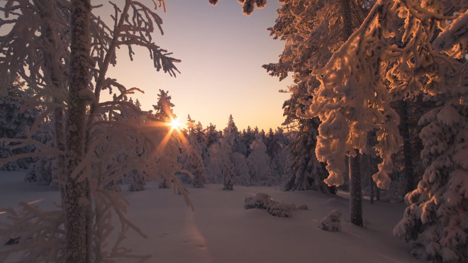В Гидрометцентре спрогнозировали затяжное похолодание в Центральной части России 