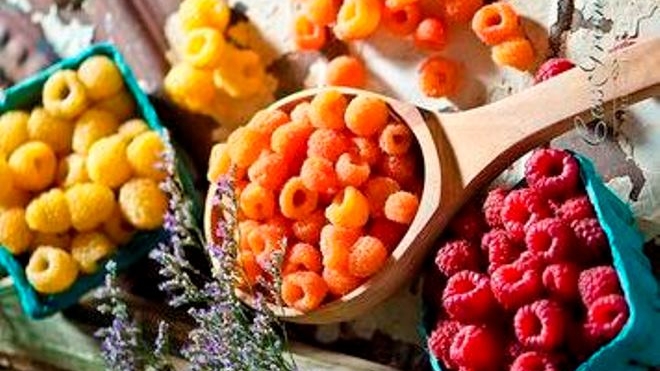 Что делать с ягодами: рецепты и советы хозяйкам