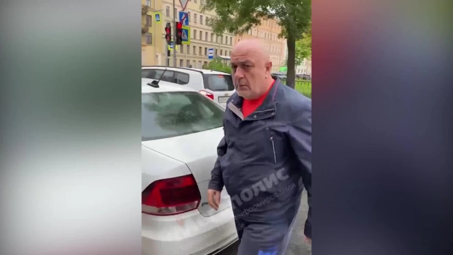 Водитель социального такси в Петербурге оскорбил пожилую пассажирку