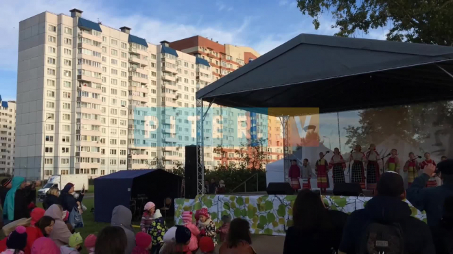 День Есенина в Петербурге отметили песнями и танцами 