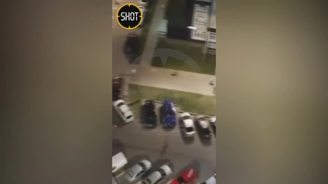 В Балашихе мужчина открыл стрельбу после драки во дворе дома