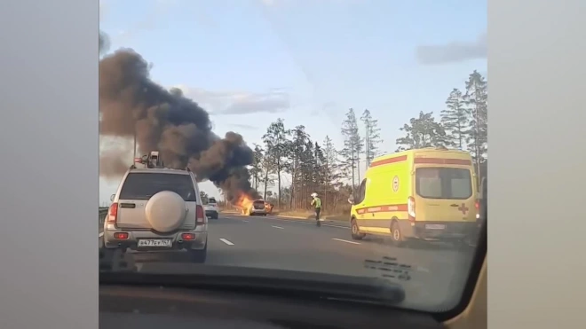 На Киевском шоссе в Петербурге сгорел BMW