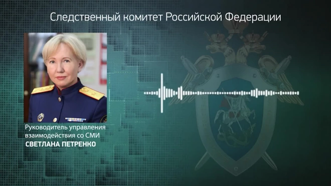 СК возбудил дело о крушении самолета в Кемеровской области