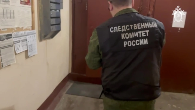 В Петербурге возбуждено уголовное дело о посягательстве на жизнь сотрудника полиции