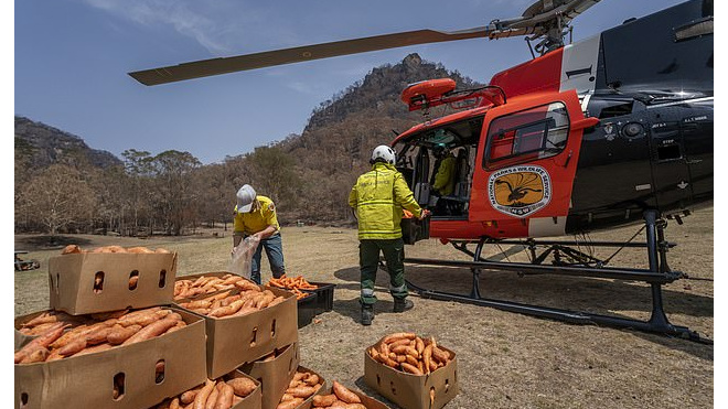 В Австралии с воздуха скинули  тонны моркови и картофеля для кенгуру