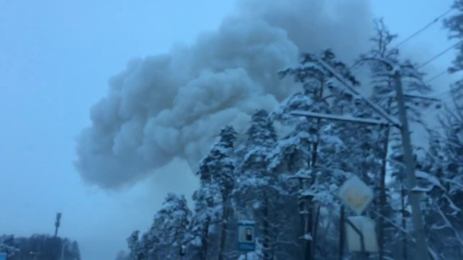 Видео: в Сестрорецке загорелся дом