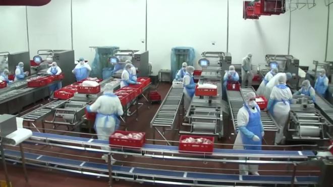 РБК: Китай стал крупнейшим покупателем мяса из России