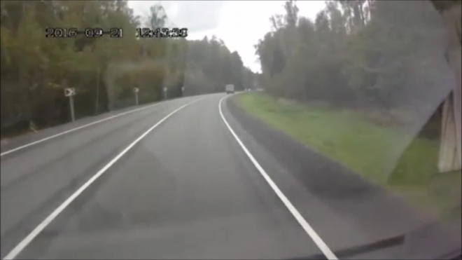 Встреча с лосем.