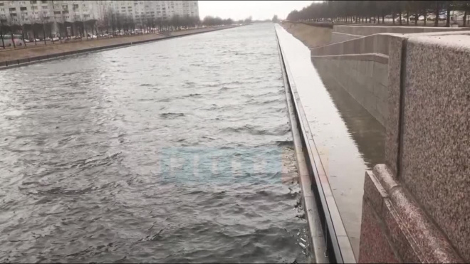 В Петербурге за ночь повысился уровень воды