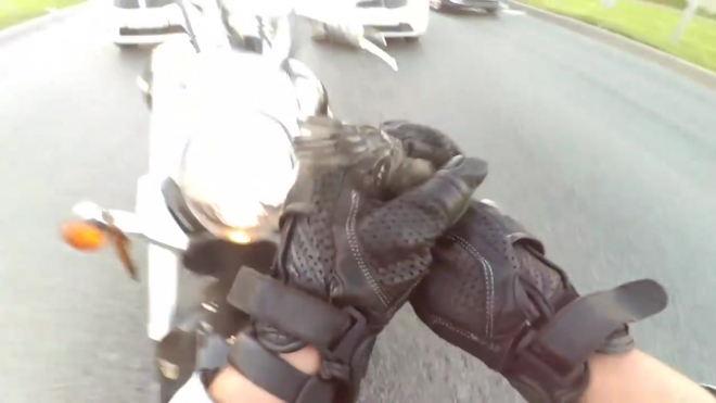 Милое видео: байкер спас птенца из-под колес на перекрестке Витебского и Орджоникидзе