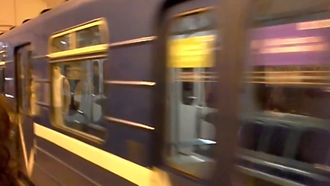 В Петербурге задержали мигранта, толкнувшего знакомого под поезд 