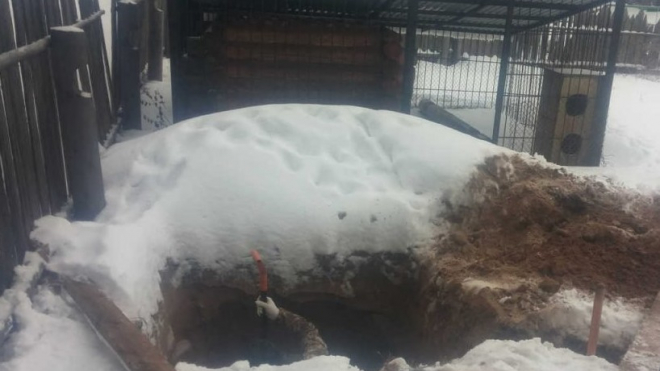 Под Ростовом малолетняя мать выбросила новорожденного ребенка в выгребную яму на мороз умирать