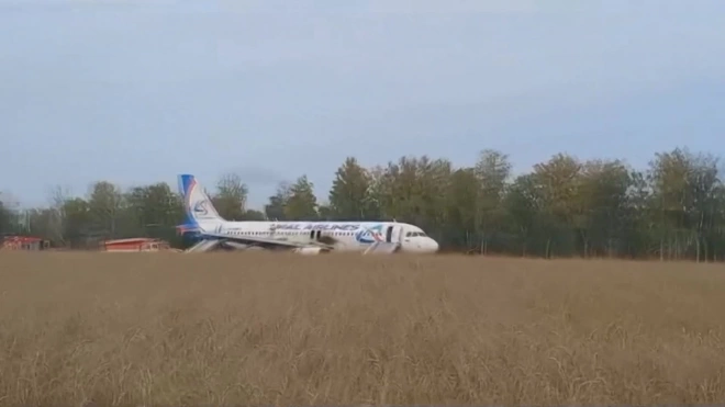 В сети появилось видео самолета, севшего в поле в Новосибирской области