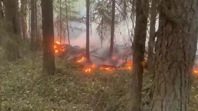 Жителей поселка в Карелии эвакуировали из-за лесного пожара