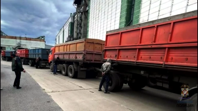В Омской области полицией пресечено мошенничество со 132 тоннами ввозимой на элеватор пшеницы
