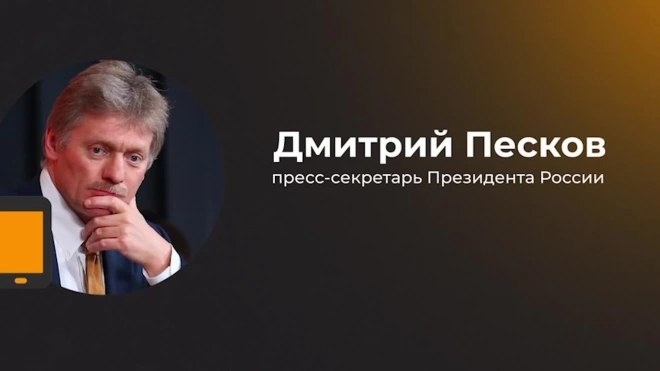 Песков: условия зерновой сделки в отношении российского агросектора не выполнены