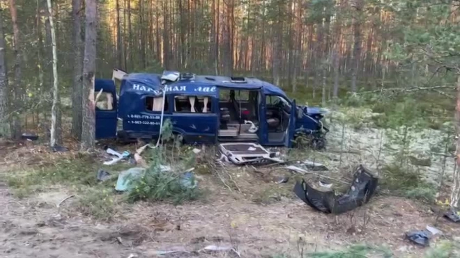 На подъезде к Лодейному Полю маршрутка съехала в кювет. Один человек погиб на месте