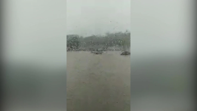 Женщина вышла в прямой эфир с места наводнения, поделилась чувствами и погибла