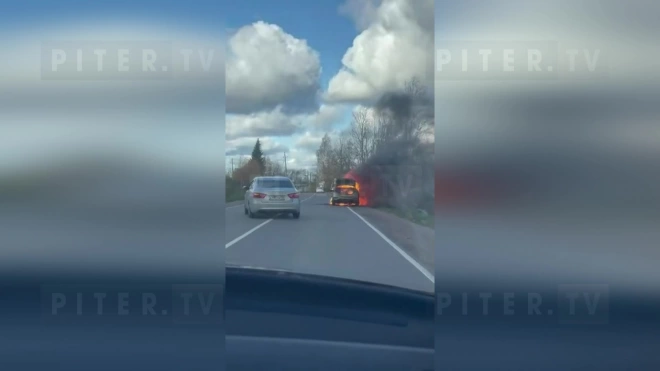 Появилось видео с горящей машиной вблизи деревни Лаврики 