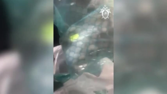 СК опубликовал видео с задержания полицейского за покушение на сбыт наркотиков