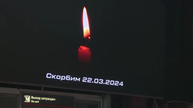 В память о жертвах теракта в Петербурге приспустили государственные флаги