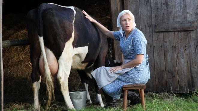 "Уходящая натура": на съемках 5, 6 серий корова отхлестала Марию Шукшину хвостом по лицу