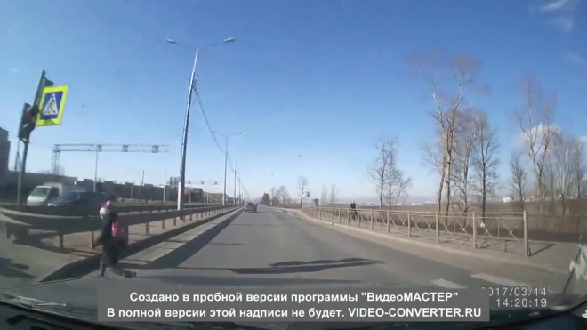 "Синий кит" в городе: школьник бросился под автомобиль у ЛенЭкспо и попал на видео