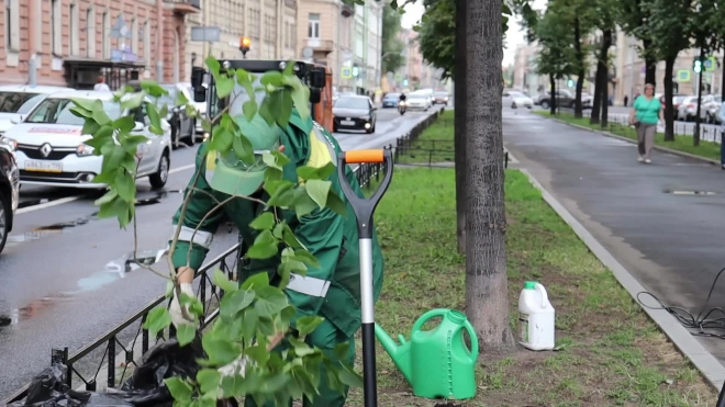 На улице Декабристов высадили сирень сорта "Александр Блок" в день памяти поэта