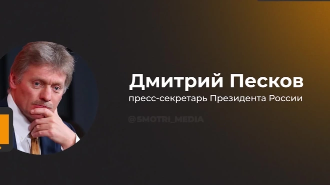 Песков заявил, что среди членов БРИКС "существуют нюансы" по теме его расширения
