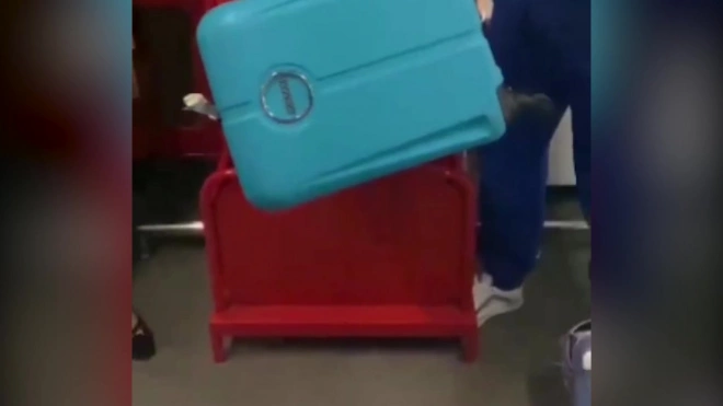 Прокуратура выяснит, почему в Сочи петербургскую танцовщицу вынудили выкинуть чемодан