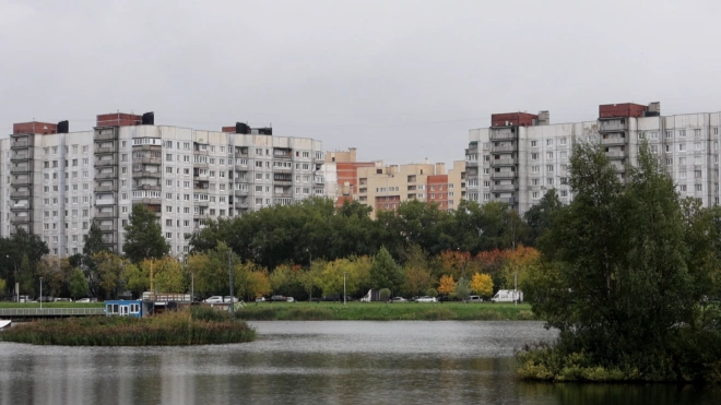 Экологи бьют тревогу после исследования воздуха в Купчино и Колпино