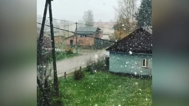 Осенний снег накрыл Петербург и Ленобласть утром 19 октября