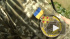 ДНР предложила Украине три новых участка для разведения сил