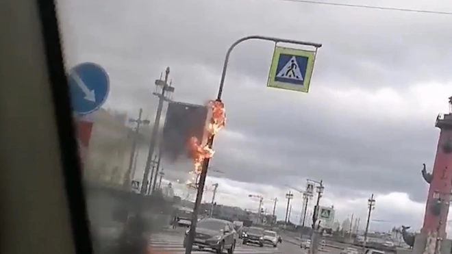 Видео: на Стрелке Васильевского острова сгорел светофор
