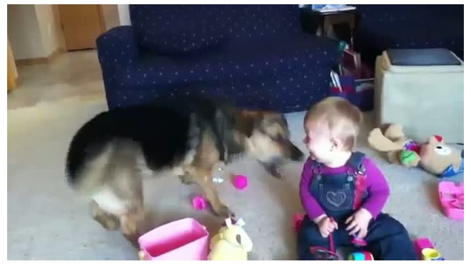 Собака, пузыри и смех младенца