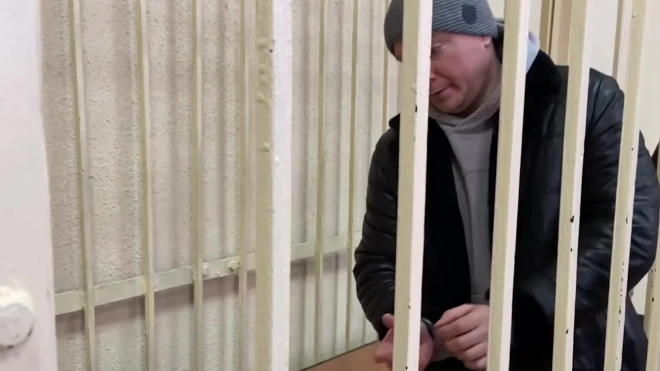Директора работавшего в гимназии в Брянске ЧОПа арестовали на два месяца