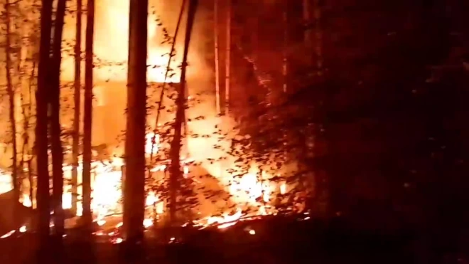 В Екатеринбурге сгорел дом местной экоактивистки