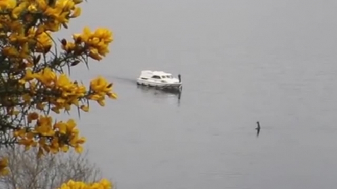  Ужасающее видео из Шотландии: на озере Лох-Несс вновь заметили чудовище