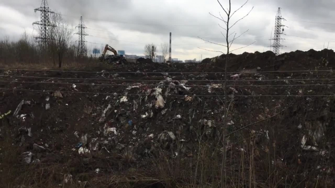 "Зеленый Фронт": в Кудрово экскаваторы раскапывают незаконную свалку ради извлечения цветных металлов