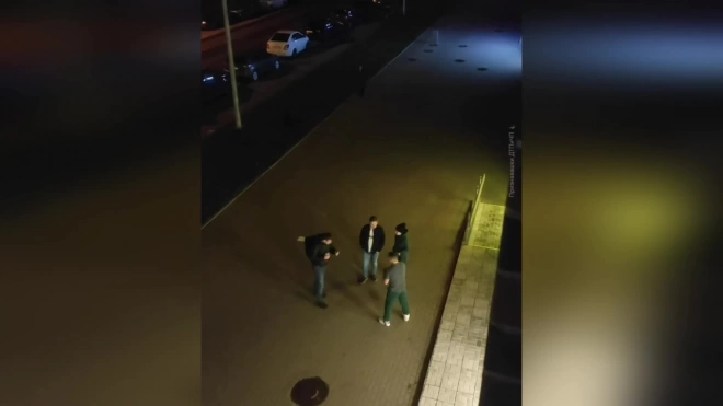 Под Петербургом ночью выпивший мужчина  костылями избил доставщика еды