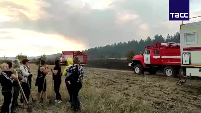 Пожар в лесничестве в Ростовской области охватил более 200 гектаров